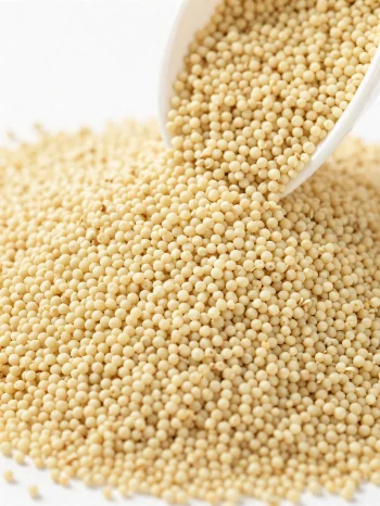 도자기 그릇에 담긴 작은 노란색의 생 아마란스 알갱이