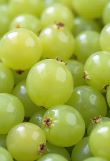 나무 테이블 위에 놓인 초록빛과 붉은빛의 신선한 구즈베리 열매들